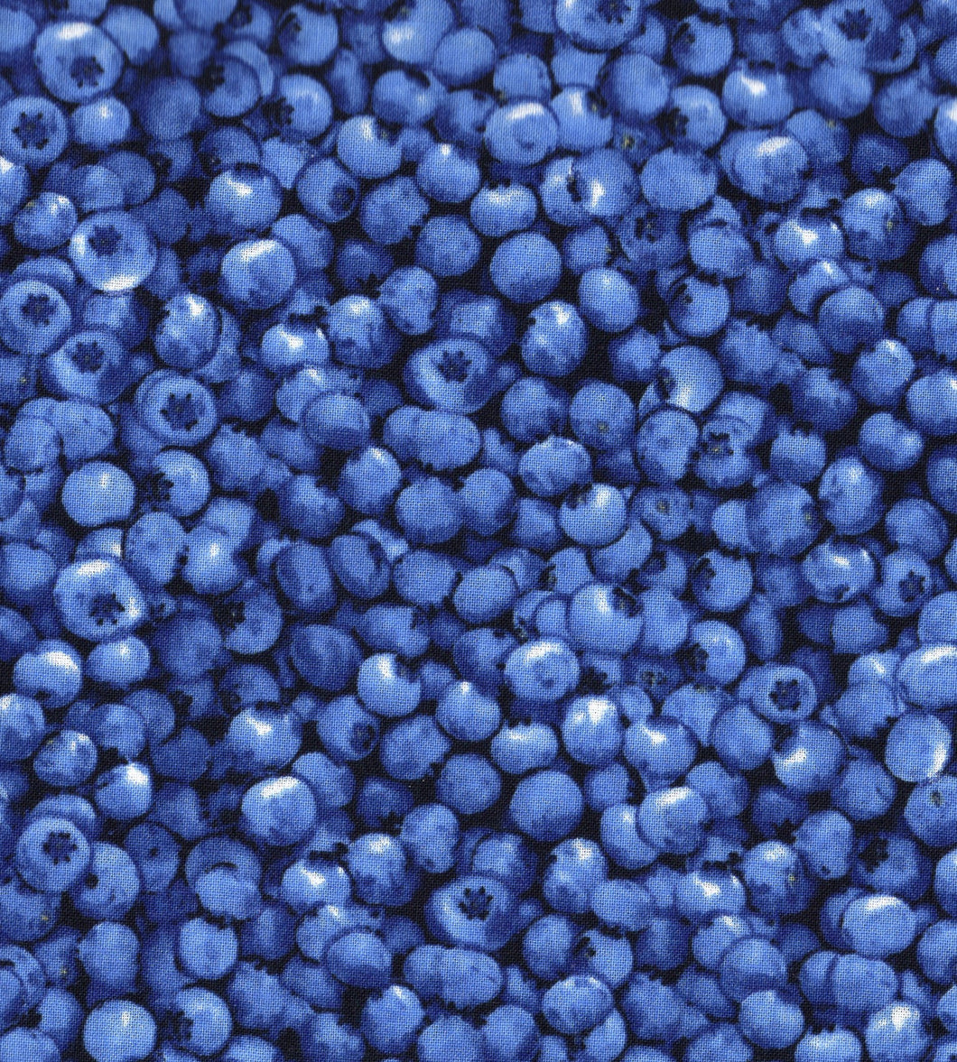 Blueberries ed581