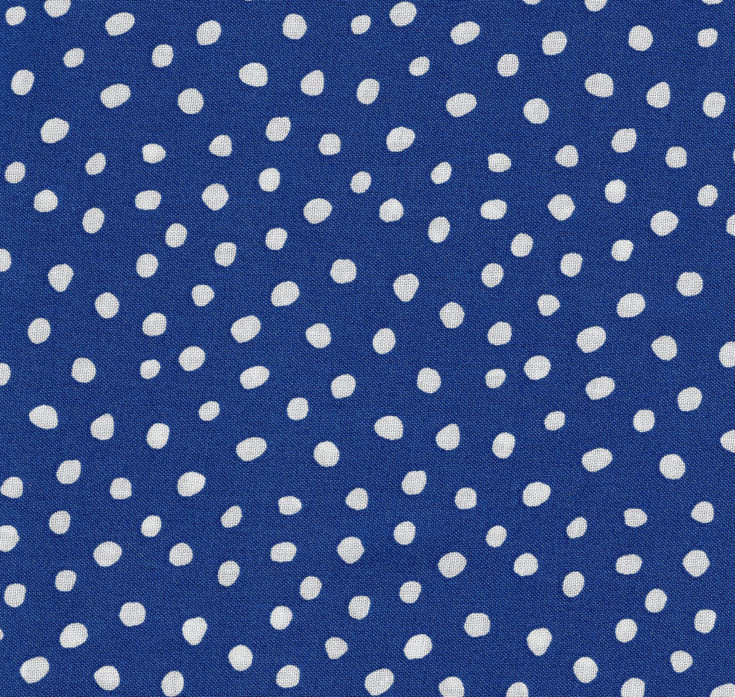 Dot and Stripe Delights / Blue jff447
