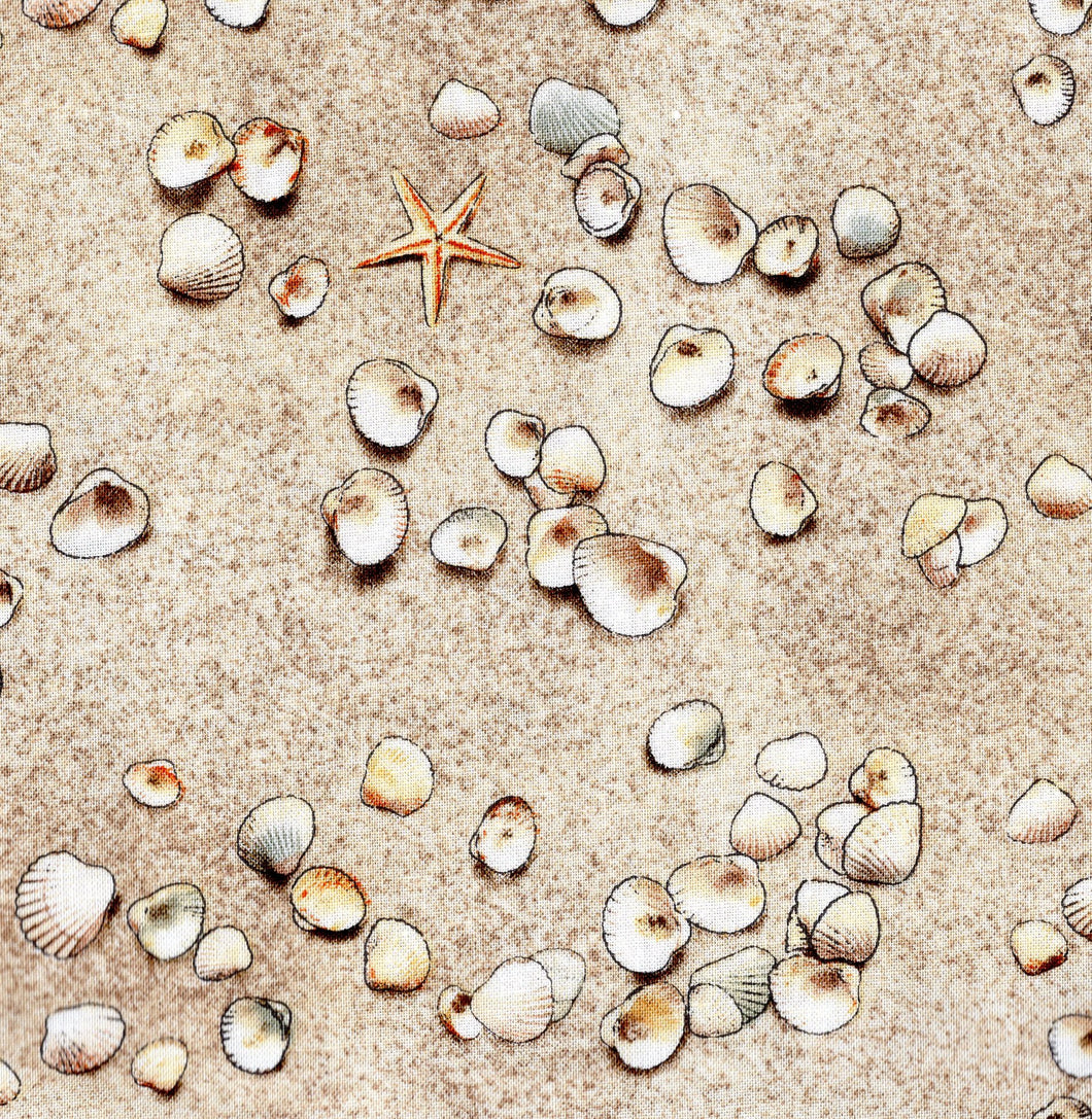 Seashells And Starfish / Sand bus290