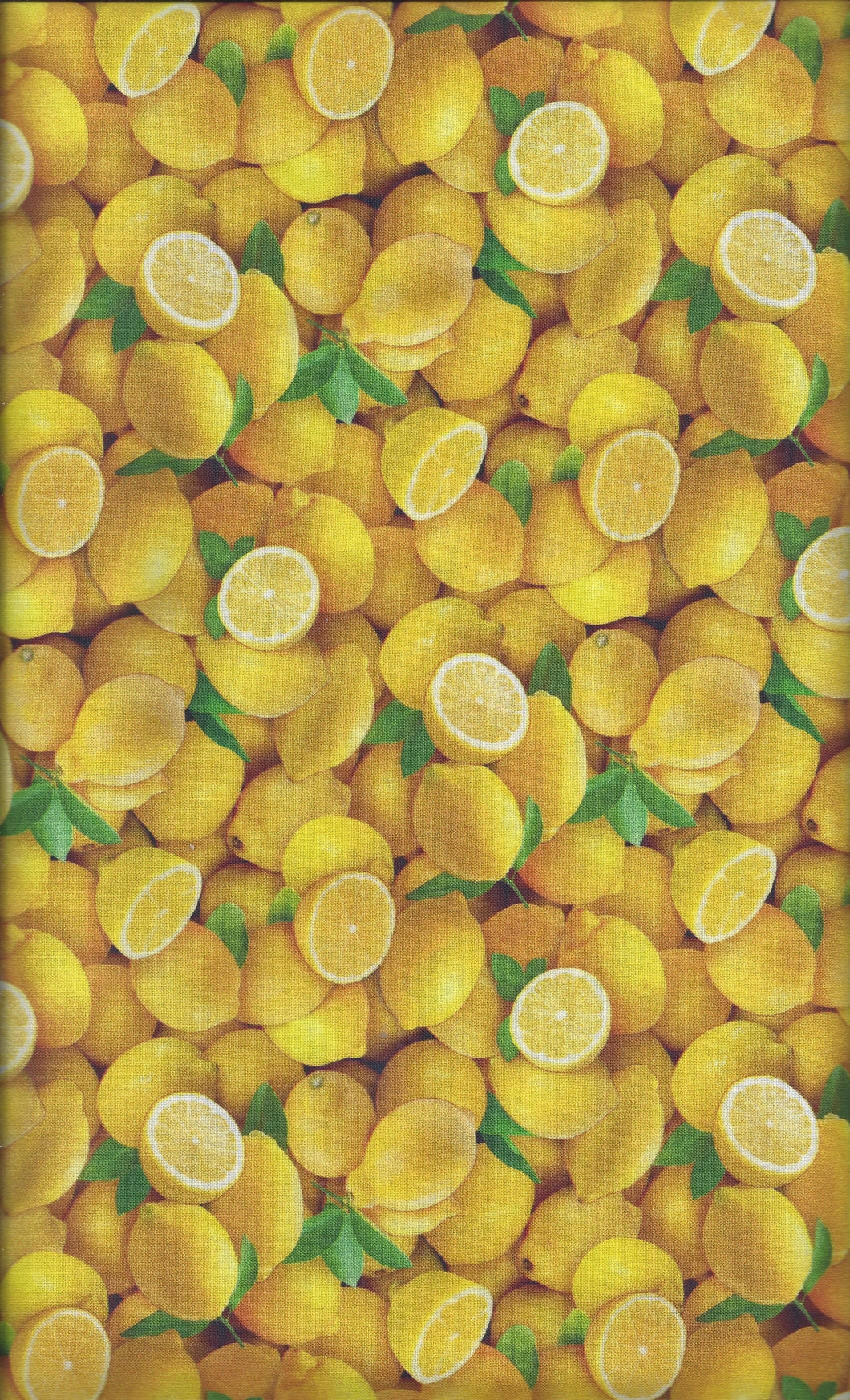 Food Festival Lemons ed511