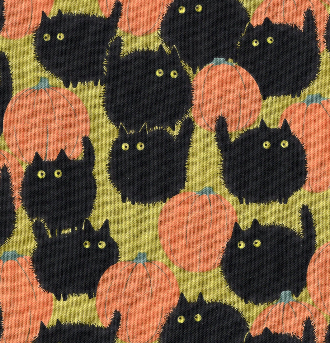 Black Cats And Pumpkins / Lime ho571