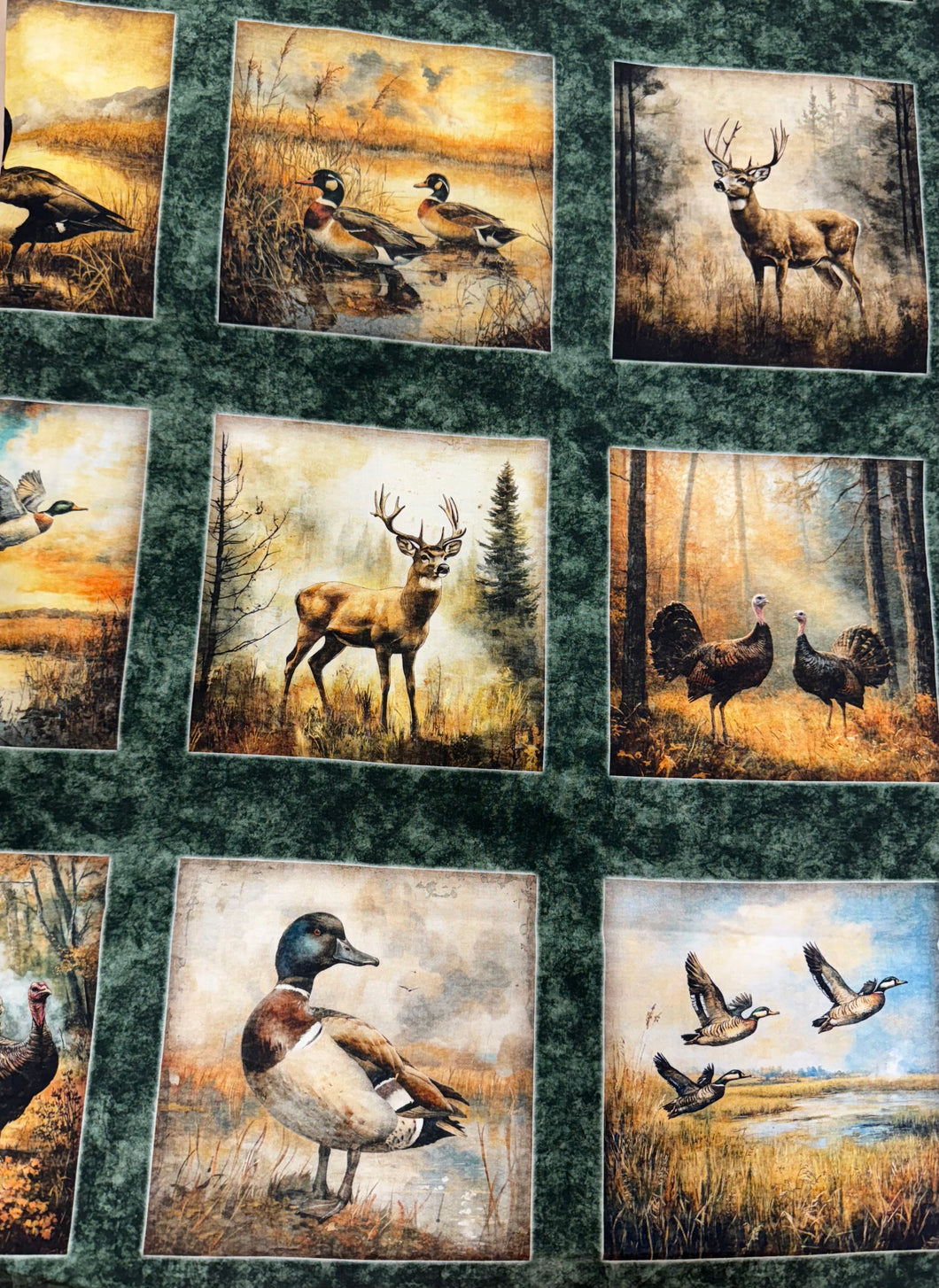 Forest, Field and Stream Critters / Green cr1113