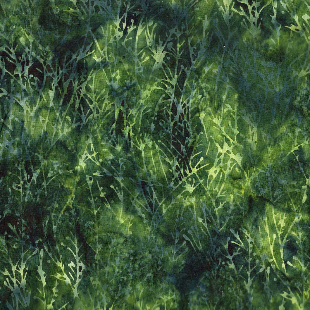 Small Leaves with Dots / Spincah ba3136