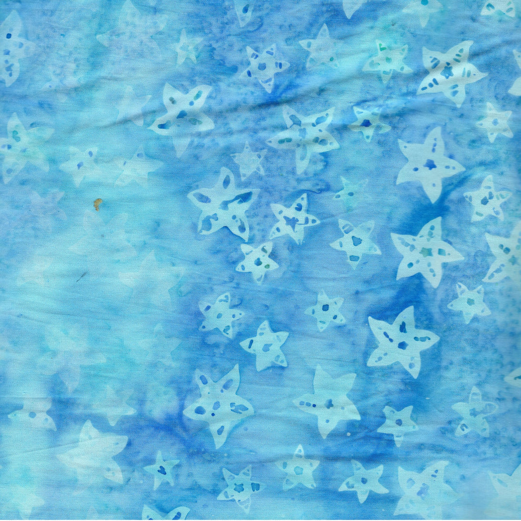 Tossed Starfish / Blue ba3243