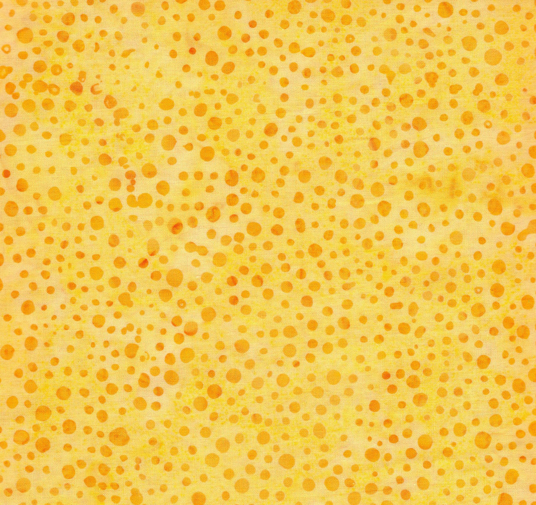 Sunny Meadow Dot / Yellow ba2993