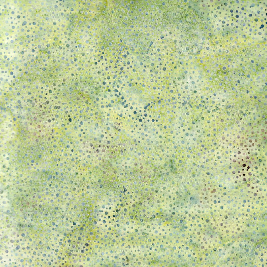 Dots / Celery ba3167