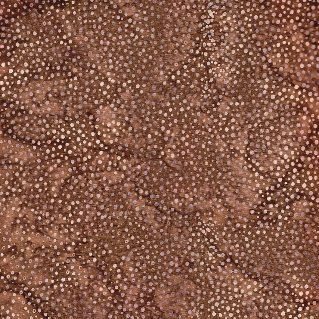Dots / Chocolate ba3170