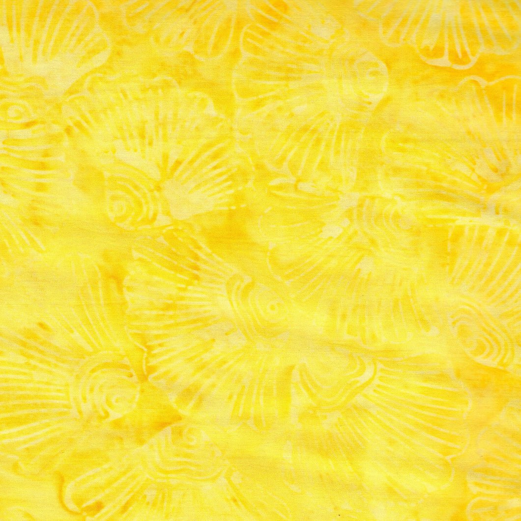 Mottled Tonga / Sun ba3219