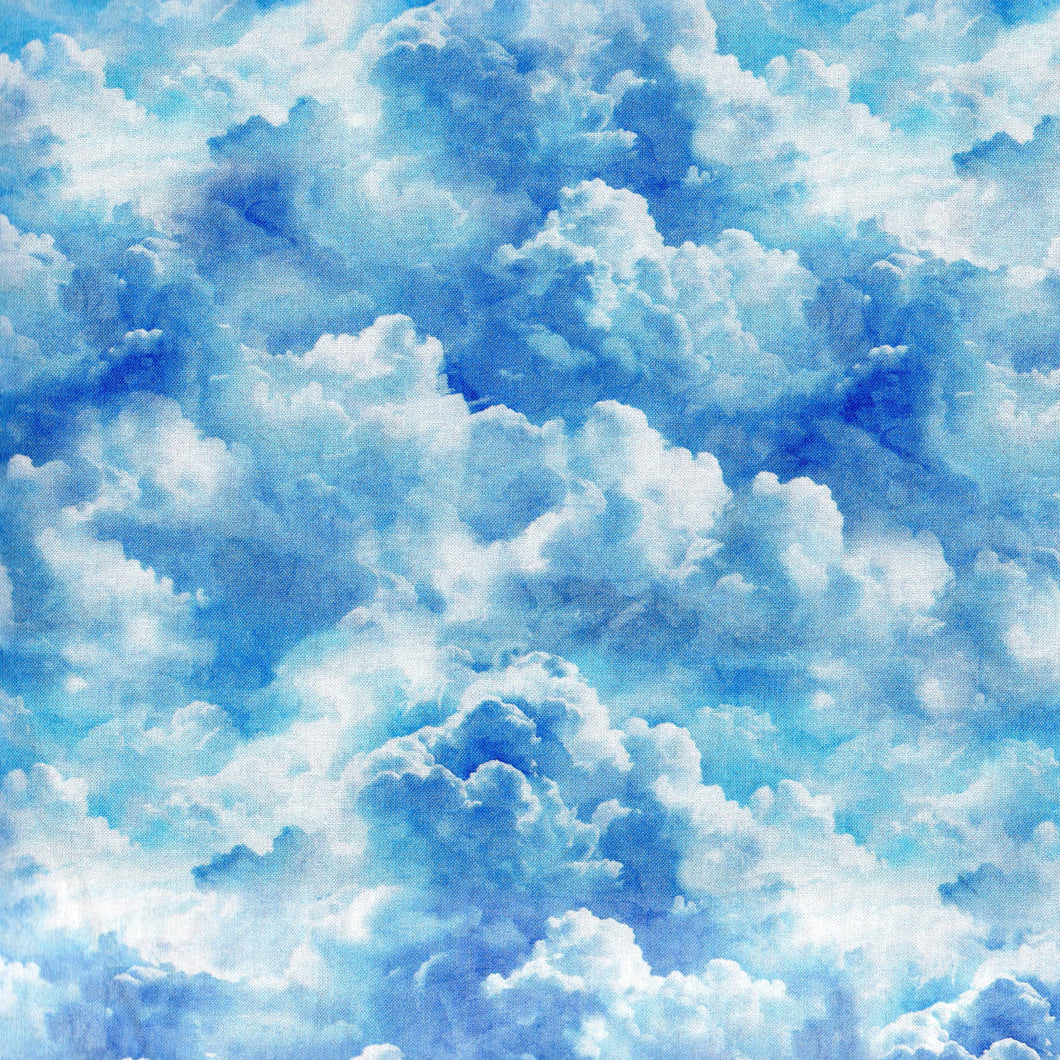 Earthly Delights Clouds / Blue bus331