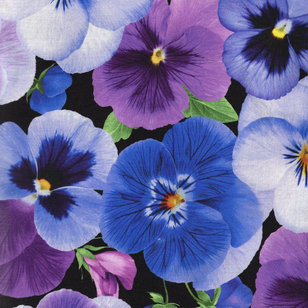 Large Pansies / Black flo531