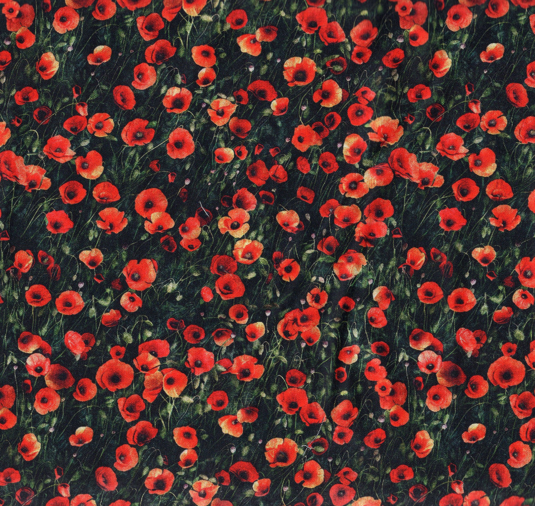 Earthly Delights / Poppies on Black flo533