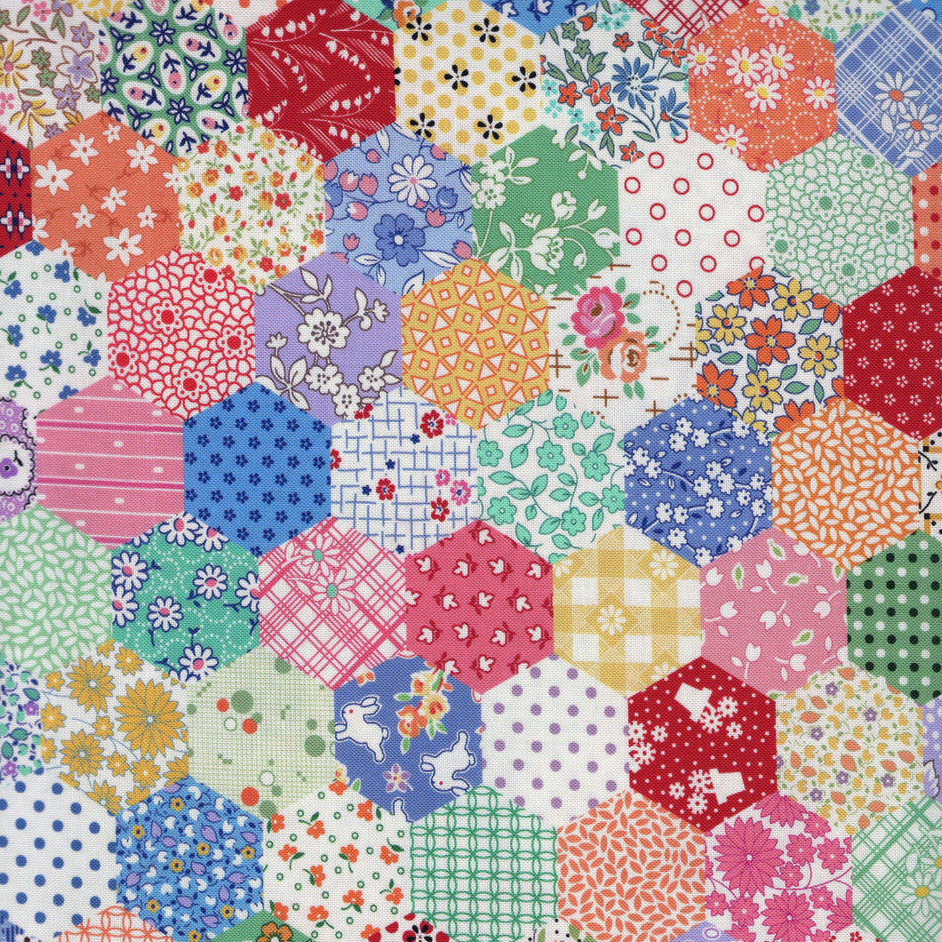 Aunt Grace Goes Scrappy / Multi Hexies rep549