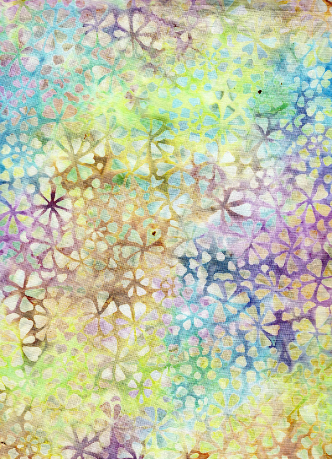 Flowers / Multi Pastel ba2092