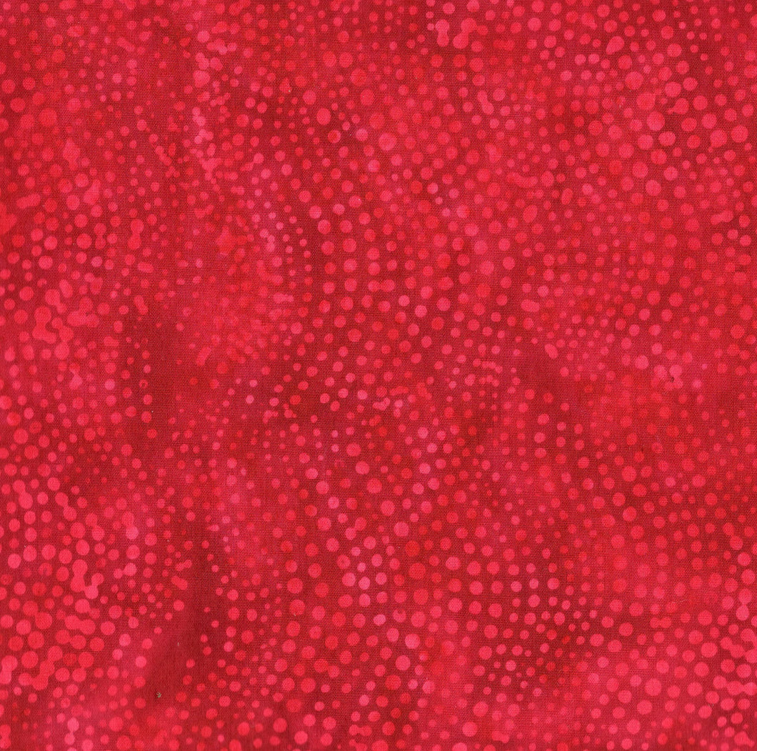 Dot Wavy Stripe / Cherry Red ba2848