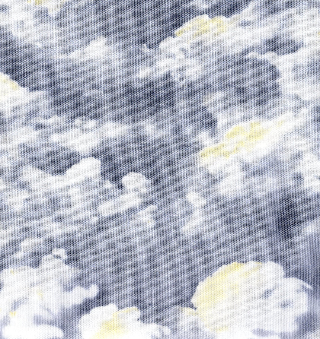Cloudy Sky / Gray bus256