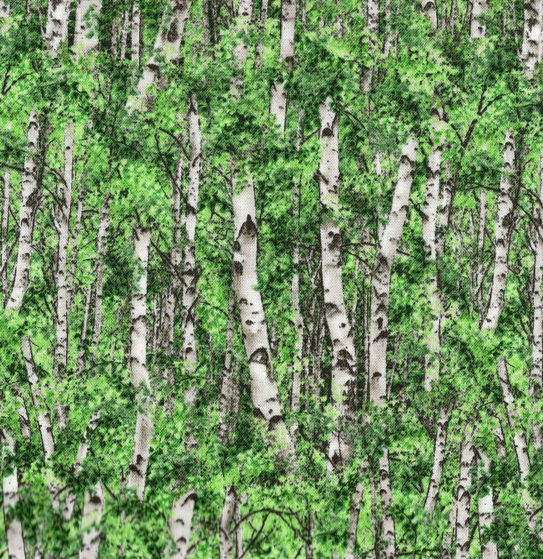 Birch Trees / Green bus265