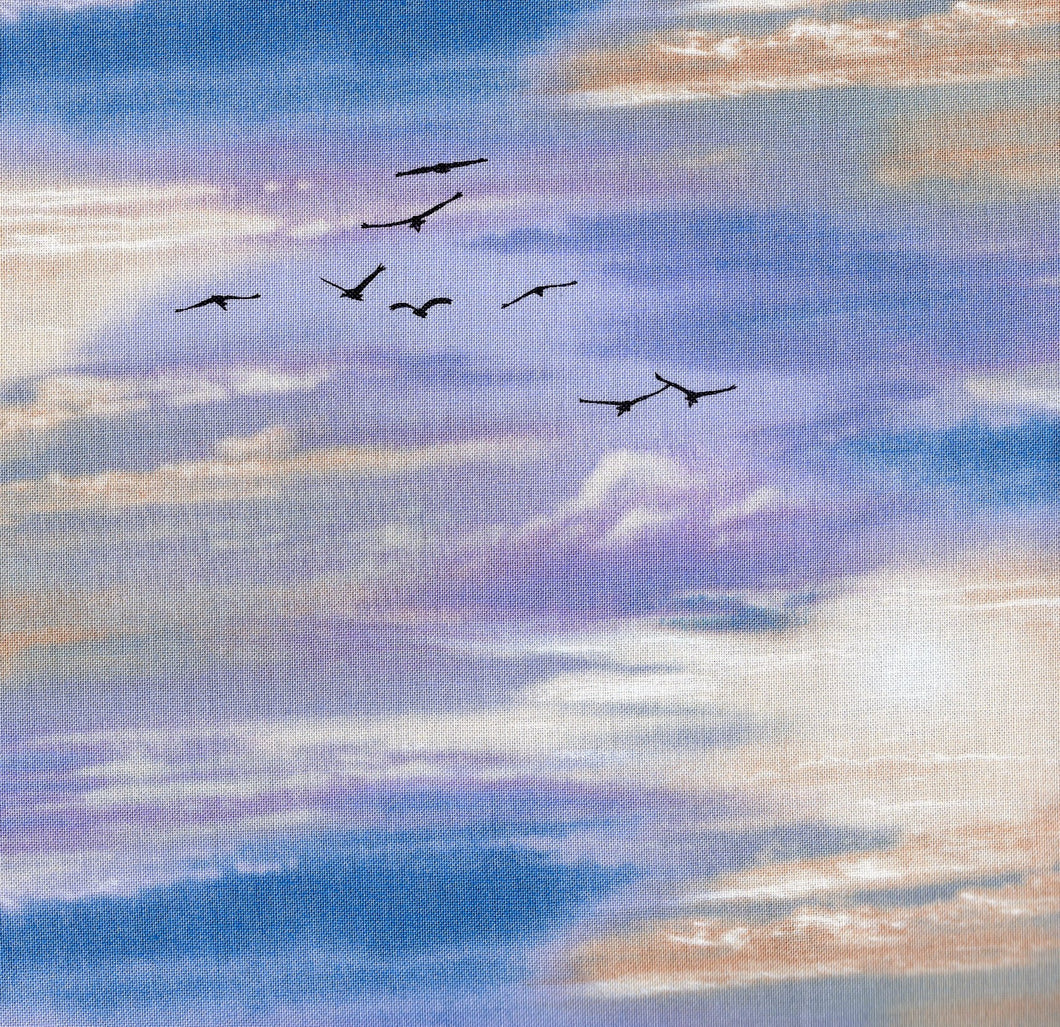 Sky Anf Sea Gulls / Multi bus304