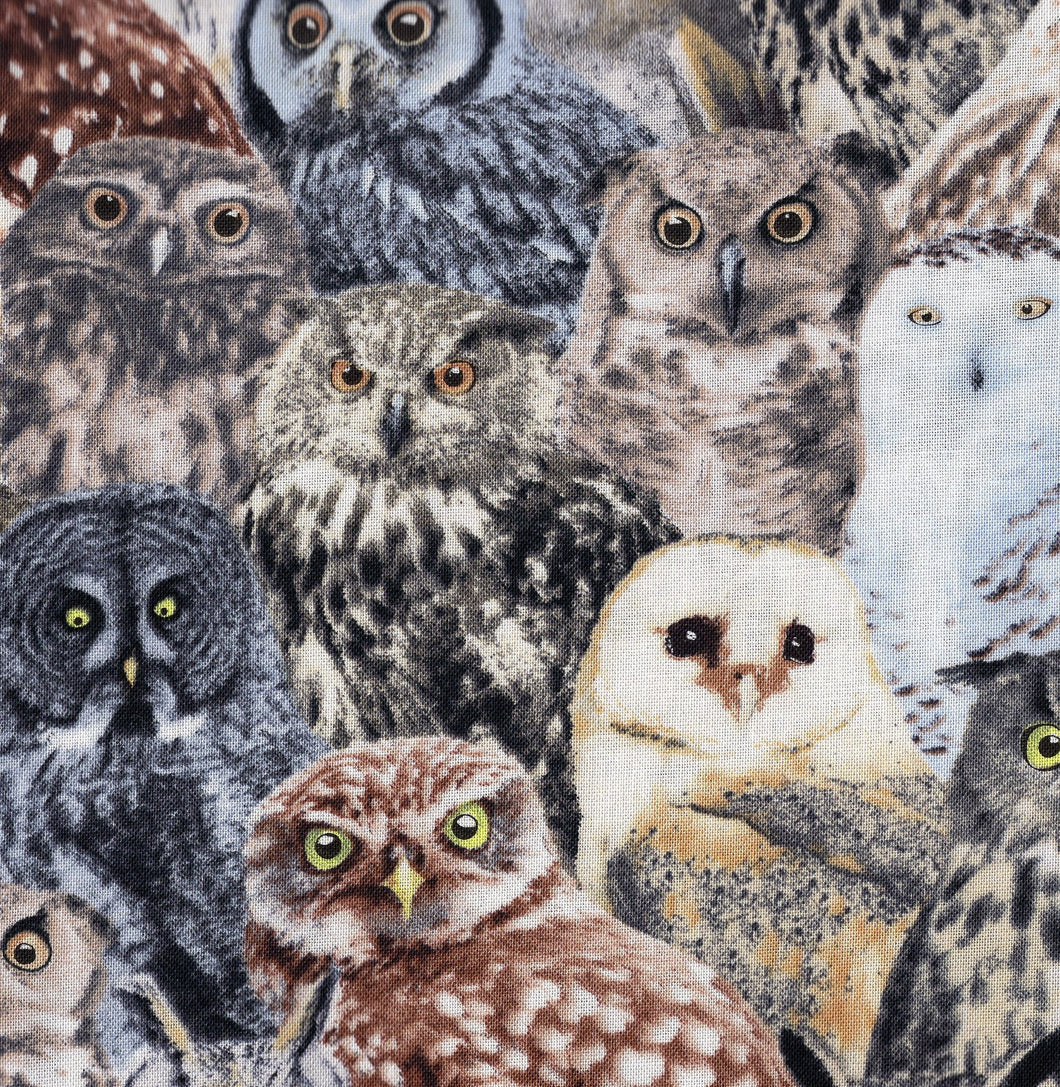 Owls / Multi cr1015