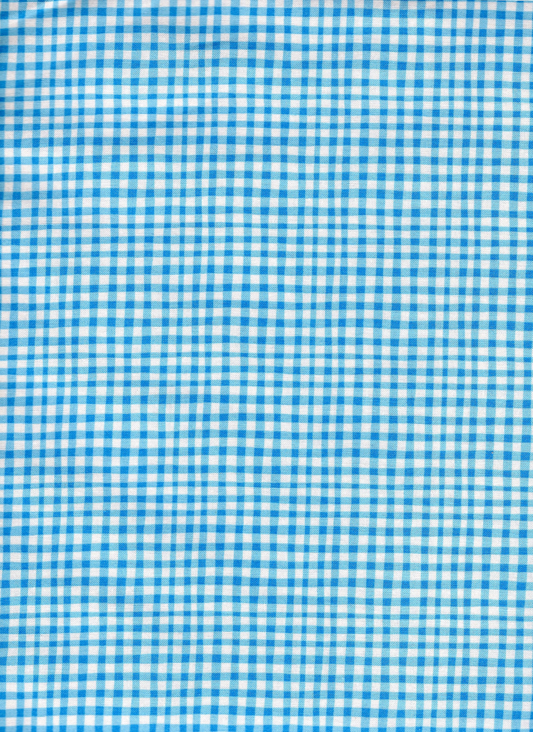Blue And White Check cr838