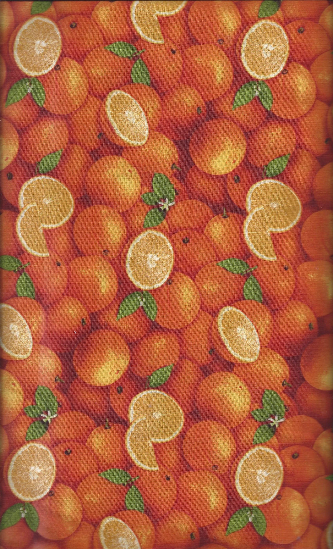 Food Festival Oranges ed504