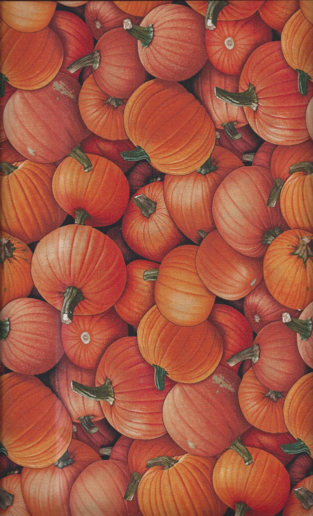 Pumpkins ed510
