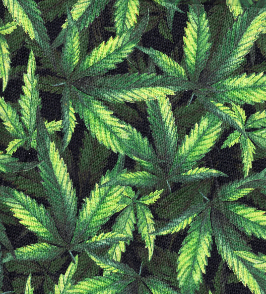 Marijuana Plant / Black ed540