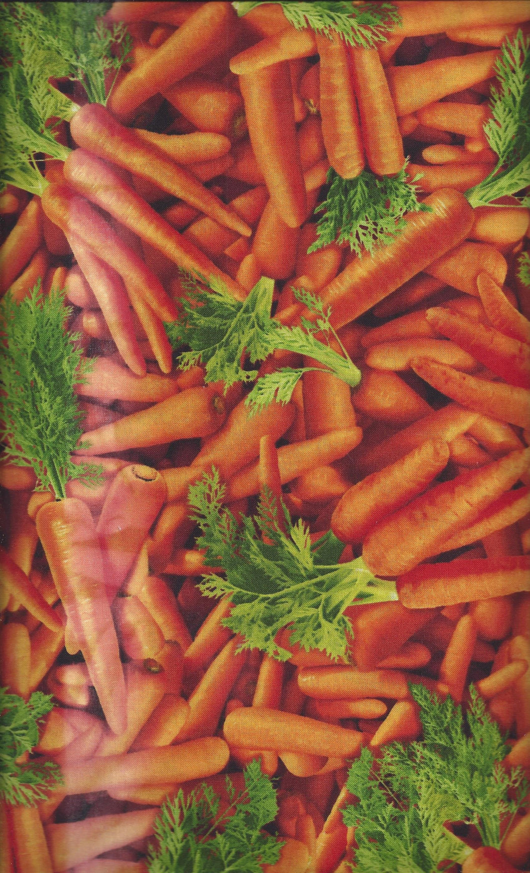 Food Long Thin Carrots ed523