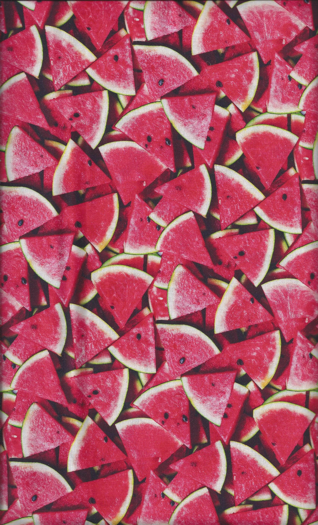 Watermelon Slices ed539