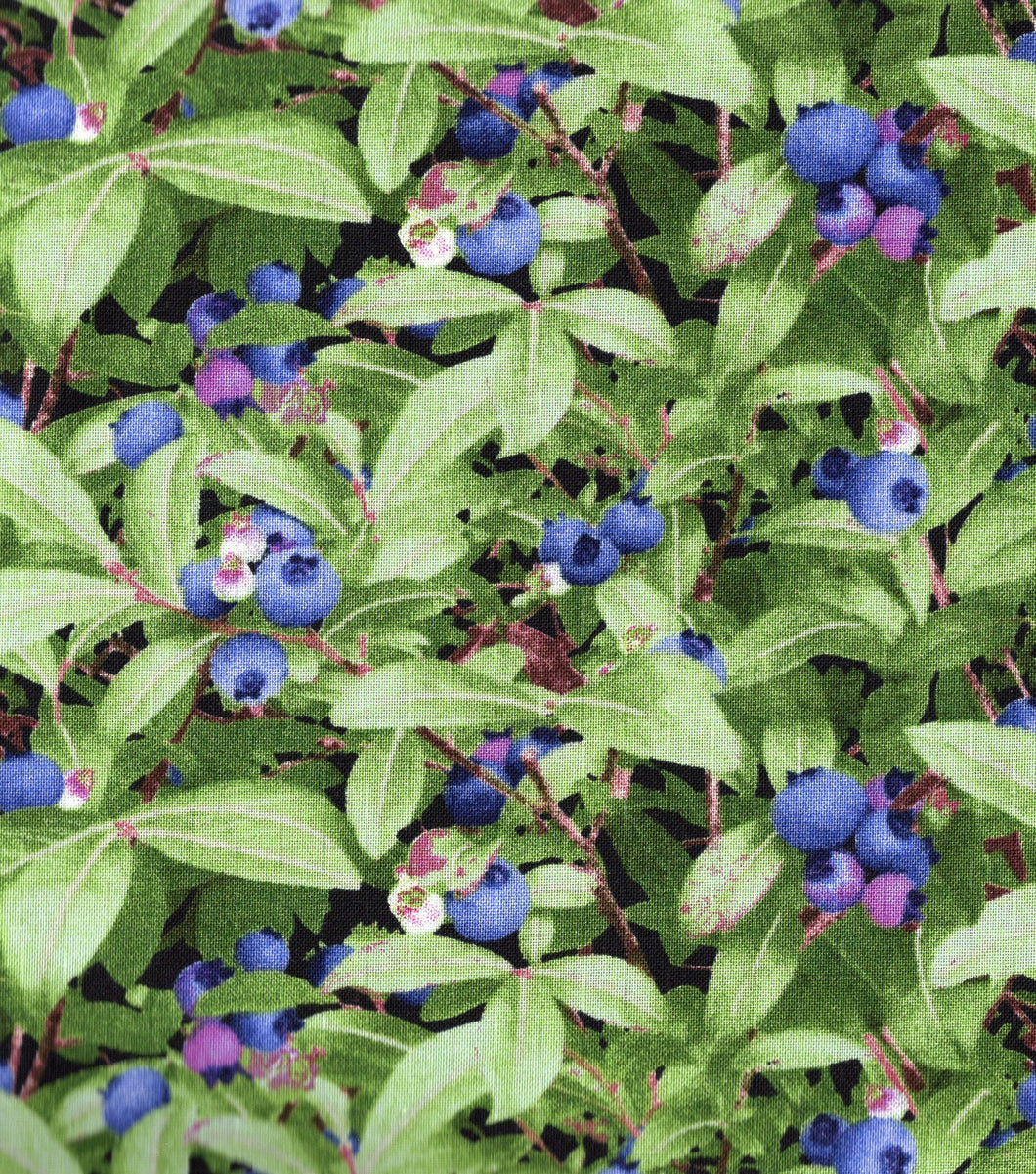 Blueberries On The Bush / Black ed544