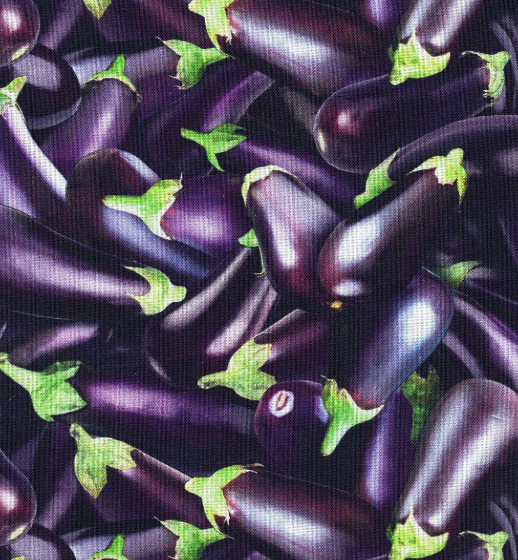 Eggplant ed549