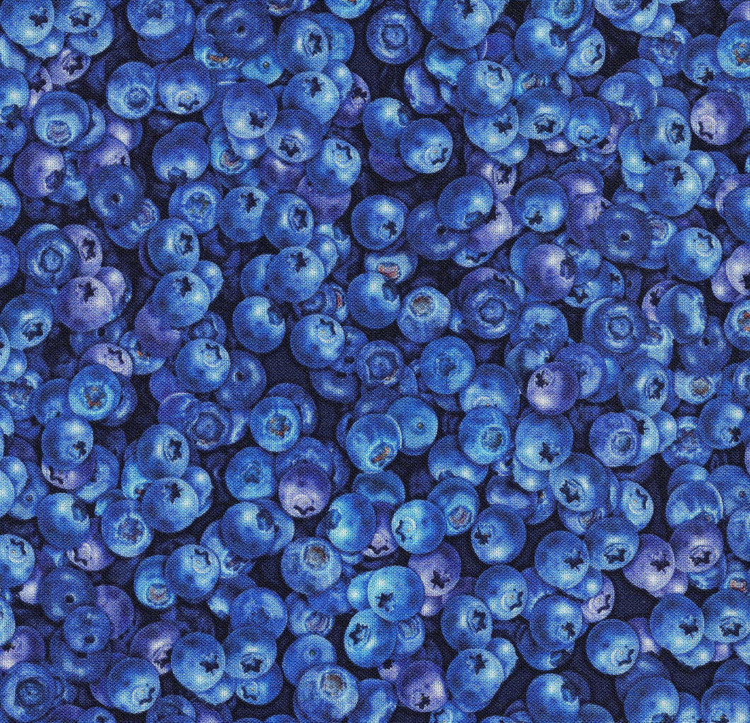 Fresh (Blueberries) / Blue ed576