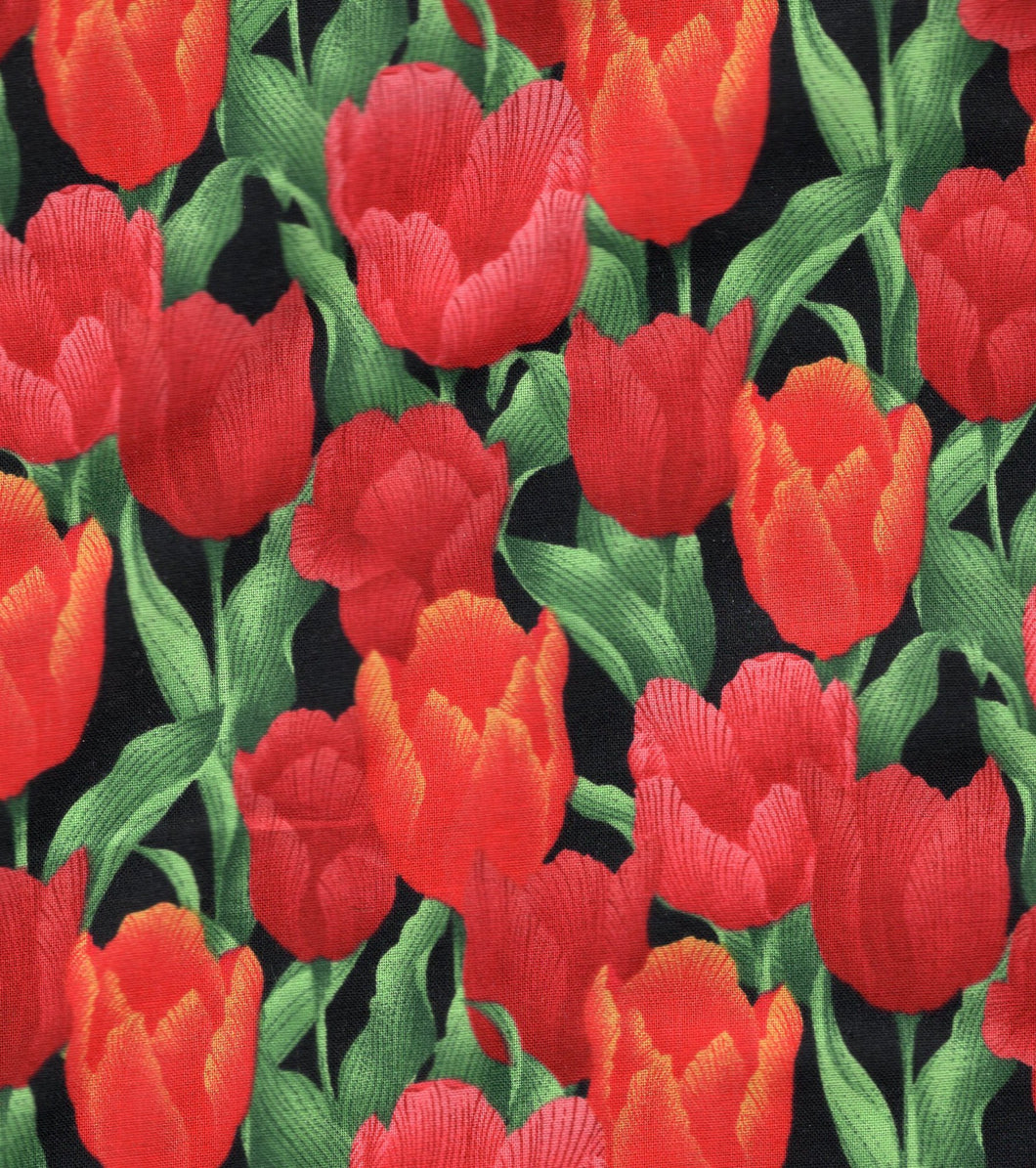 Red Tulips / Black flo321