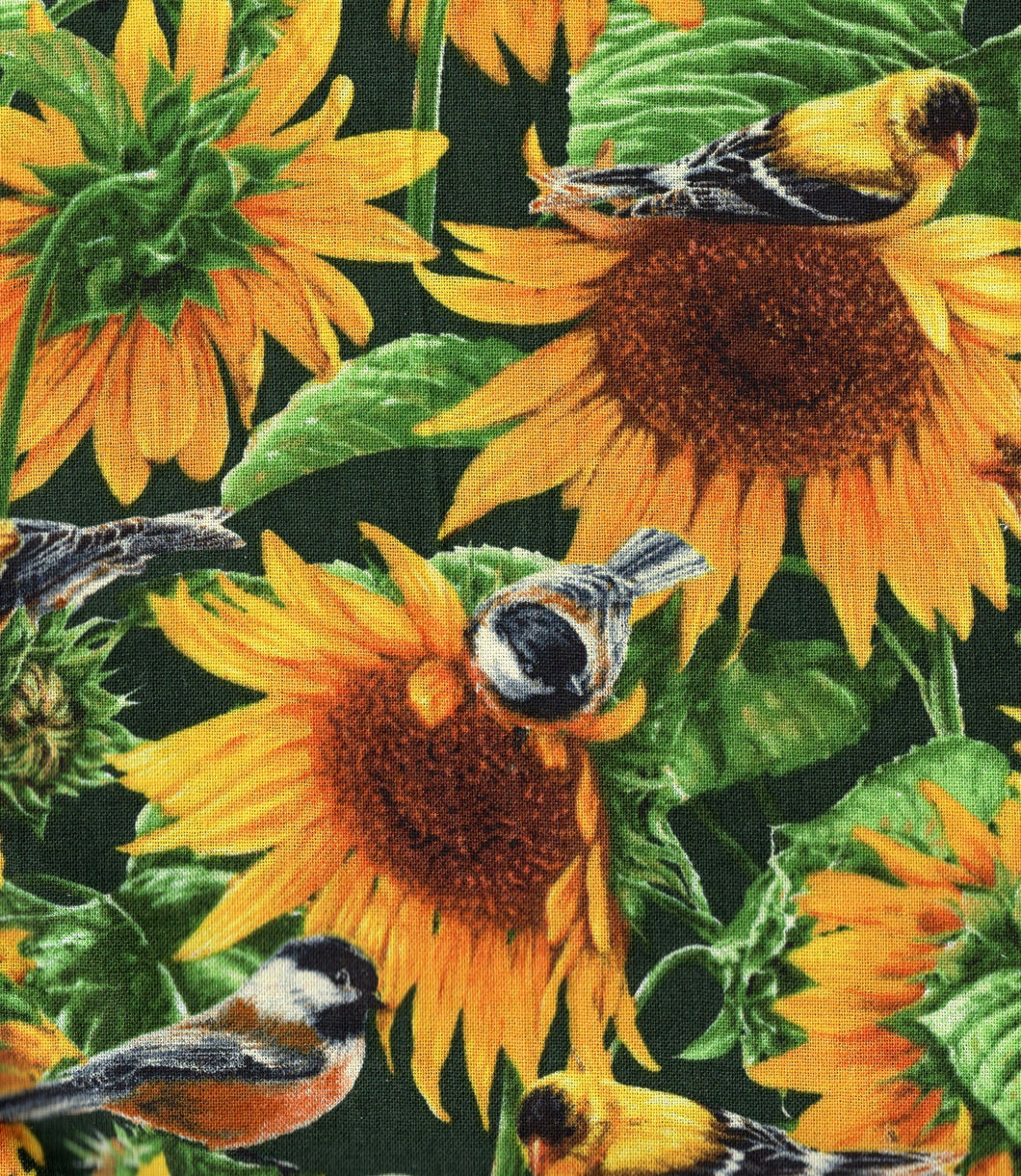 Sunflowers And Birds flo381
