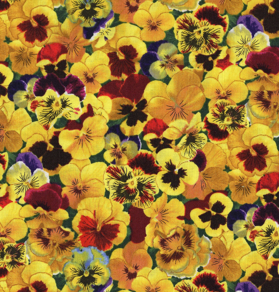 Lovely Pansies / Yellow flo383