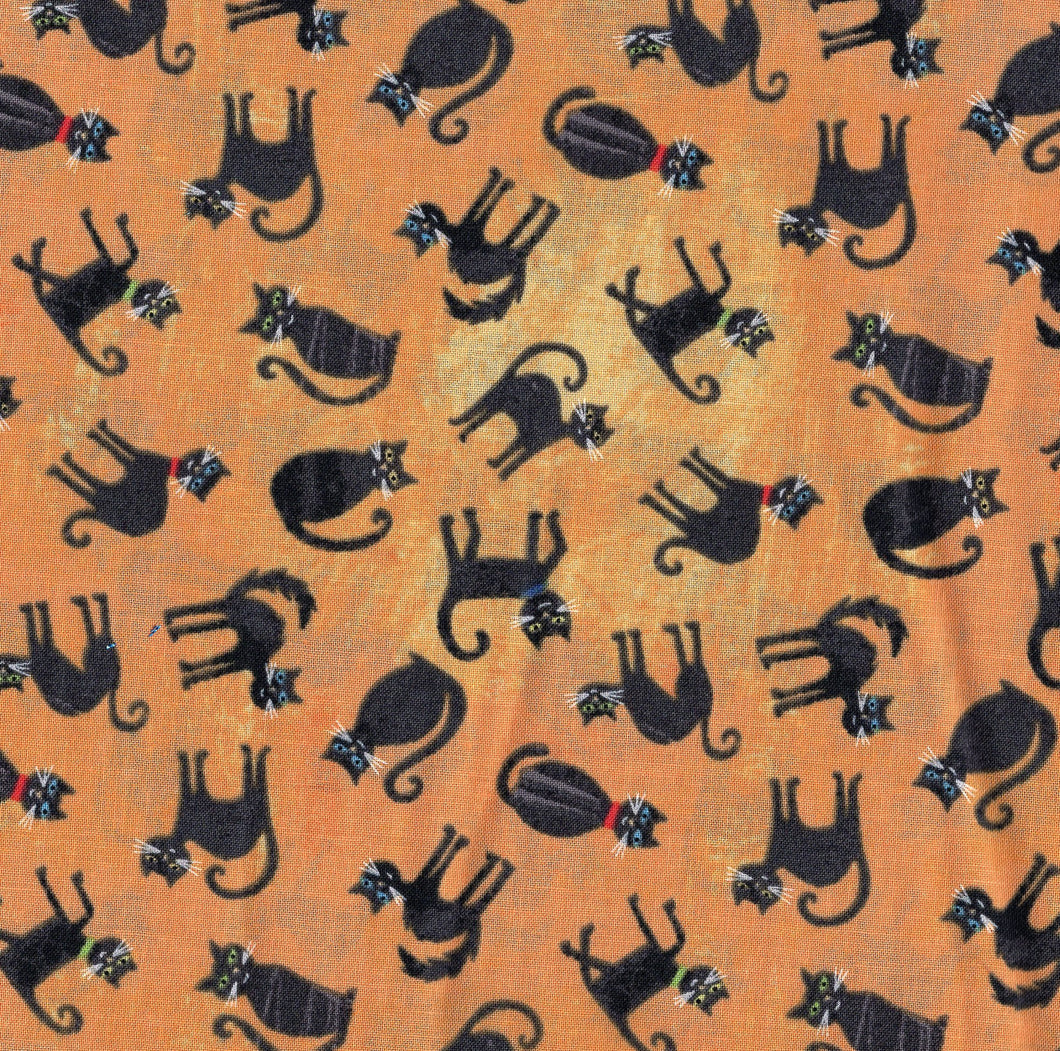 Black Cats / Orange ho619