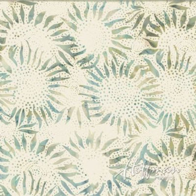 Sunflowers / bluegrass