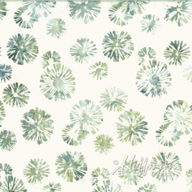 Dandelions / sage