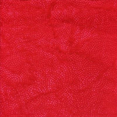 Paisley dots /cardinal